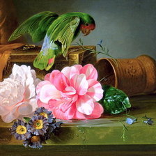 Схема вышивки «попугай озорник»