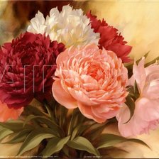 Схема вышивки «piwonie 1»