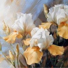 żółte irysy