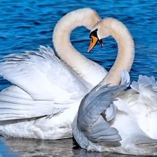 Схема вышивки «Белые лебеди»