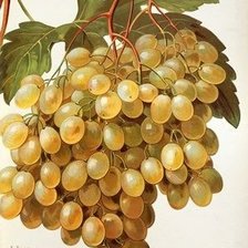 Схема вышивки «№1480190»