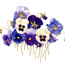 Схема вышивки «№1480214»