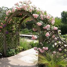 Схема вышивки «Розы на плетне 2»