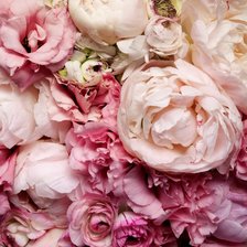 Схема вышивки «Пионы»