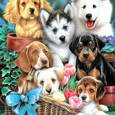 Схема вышивки «№1480642»