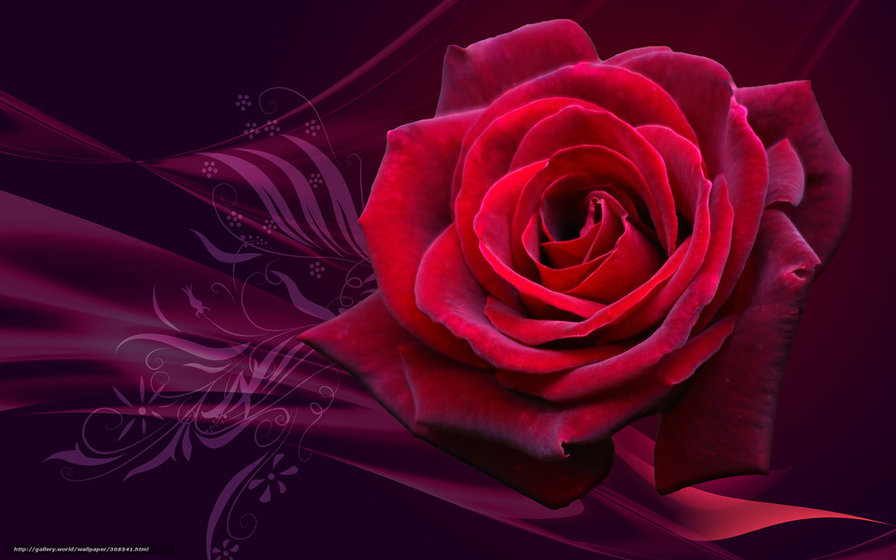 3д роза2 - роза - оригинал