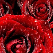 Схема вышивки «3 д роза 5»