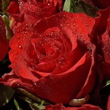 Схема вышивки «3 д розы 9»