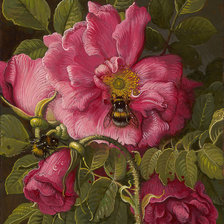 Схема вышивки «Шмель»