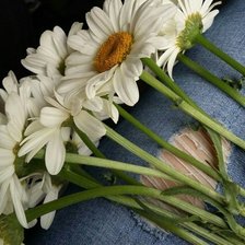 Схема вышивки «букет ромешек»