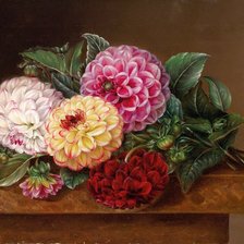 Схема вышивки «Георгины»