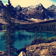 Схема вышивки «Природа»