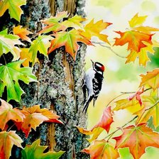 Схема вышивки «№1482010»