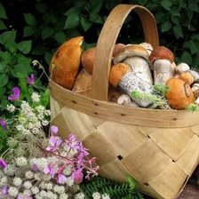 Схема вышивки «Грибы 2»