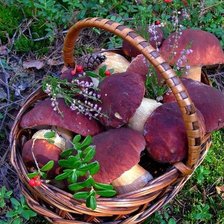 Схема вышивки «Грибы 3»