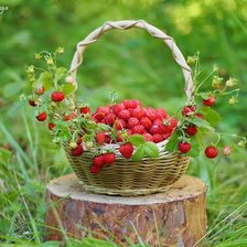 Схема вышивки «Ягодки 3»