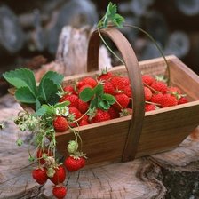 Схема вышивки «Ягодки 4»