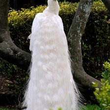 Схема вышивки «Павлин»