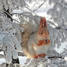 Схема вышивки «зимний день2»