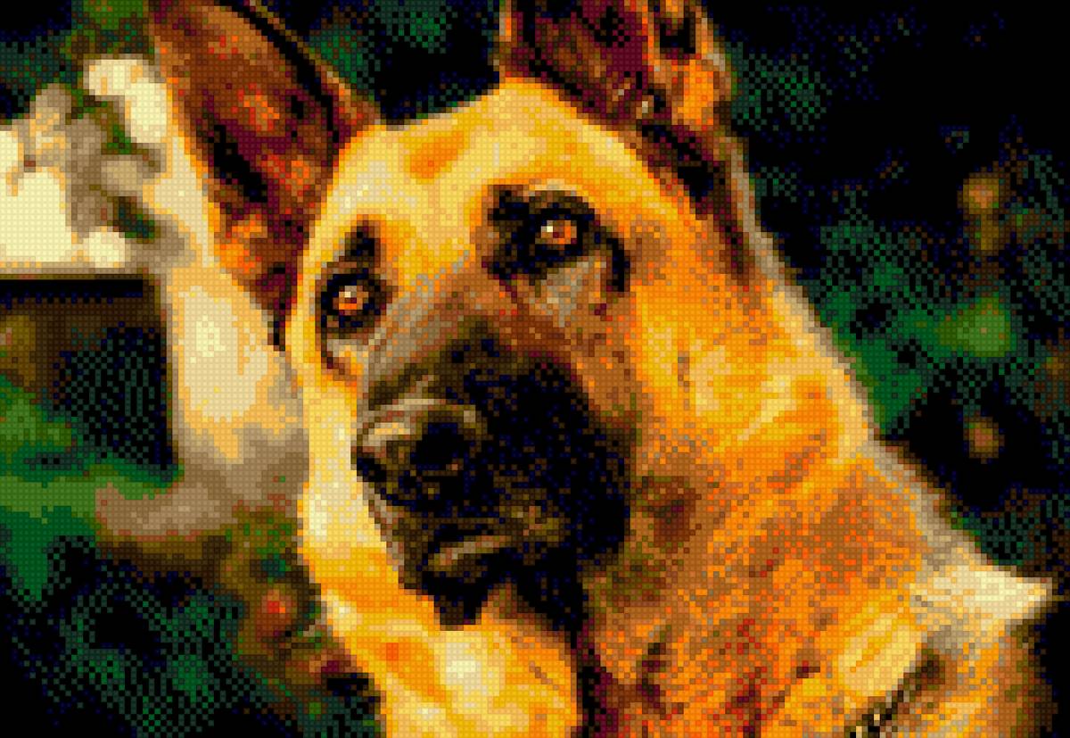 pastor aleman1 - предпросмотр