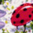 Предпросмотр схемы вышивки «божьи коровки» (№1483465)