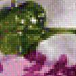 Предпросмотр схемы вышивки «сирень» (№1483542)
