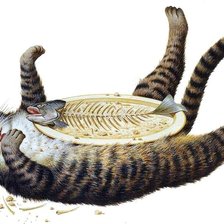 поел, теперь можно и поспать...