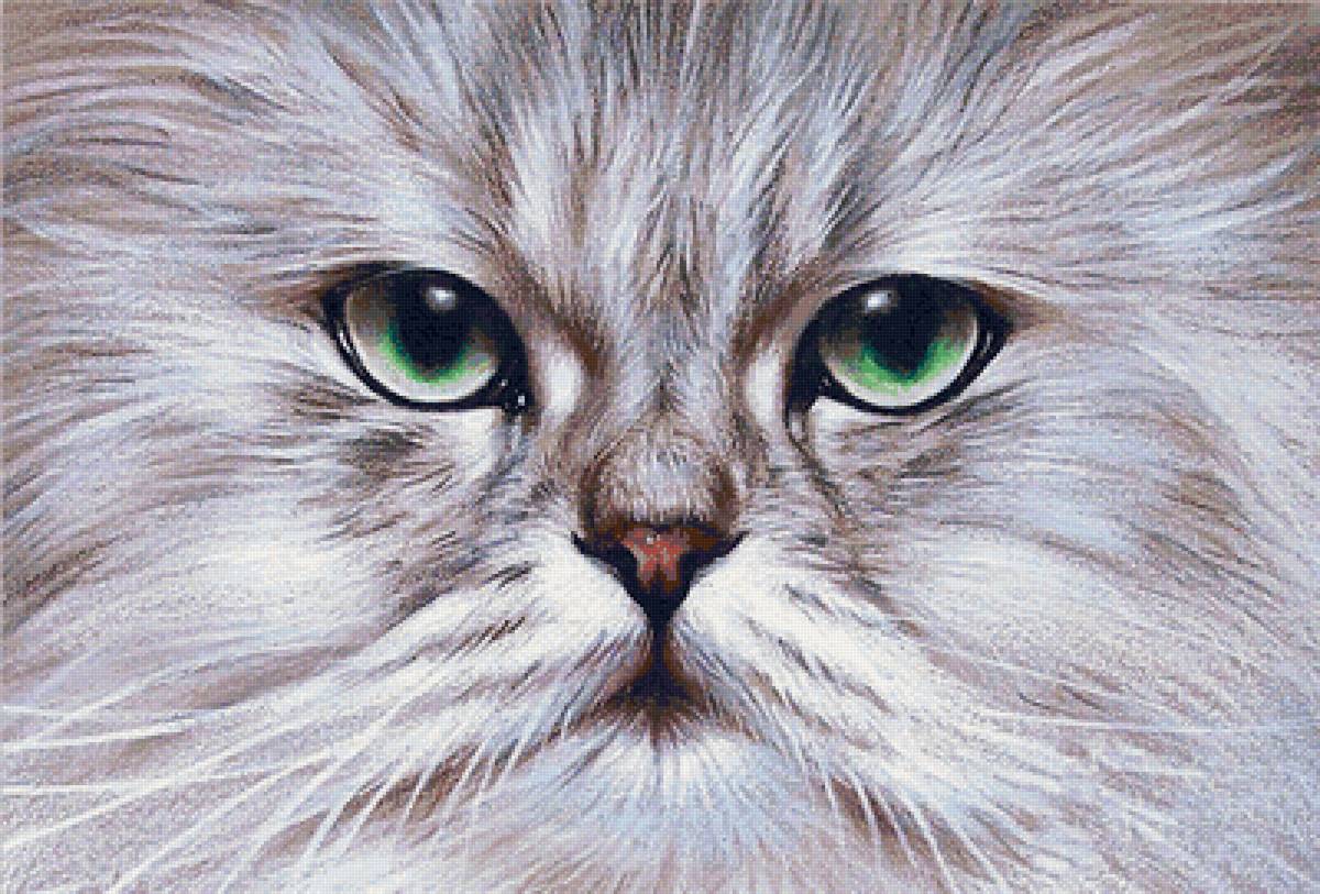 зеленые глаза - предпросмотр