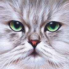 зеленые глаза