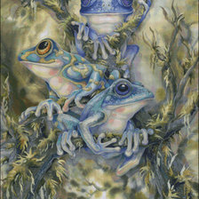 Схема вышивки «квакши»