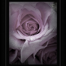 Схема вышивки «№1483710»