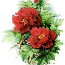 Схема вышивки «Цветы»