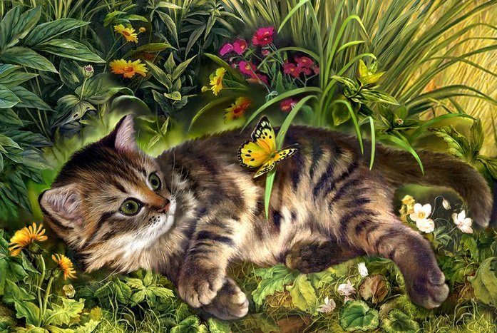 котейка - оригинал