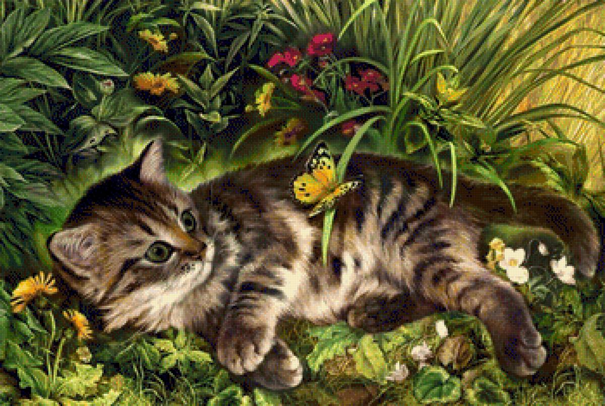 котейка 1 - предпросмотр