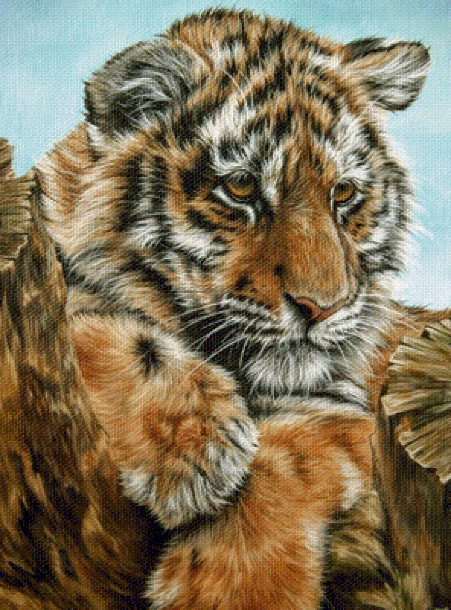 тигренок - предпросмотр