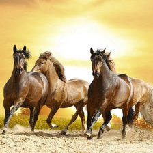 Схема вышивки «Табунчик»