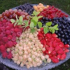 Схема вышивки «ягодное ассорти»