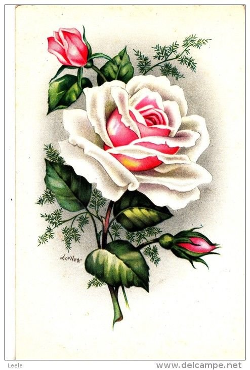 роза - цветы, розы, композиция - оригинал