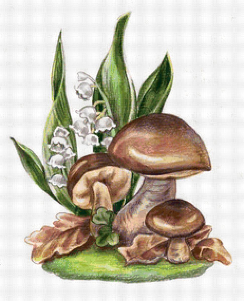 гриб под ландышем - грибы, цветы - предпросмотр