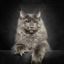 Схема вышивки «мэй кун»