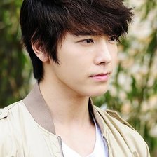 Схема вышивки «Донхе»