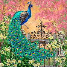 Схема вышивки «Мир птиц»