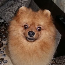 Схема вышивки «Мой сын Кузьма»