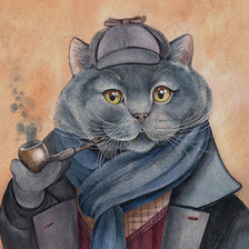 Мир животных