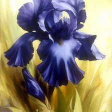 Схема вышивки «Ирис»