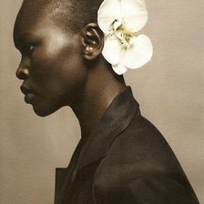 Схема вышивки «Негритянка»