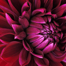 Схема вышивки «№1486101»