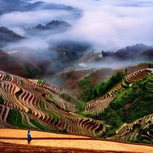 Схема вышивки «Красота»