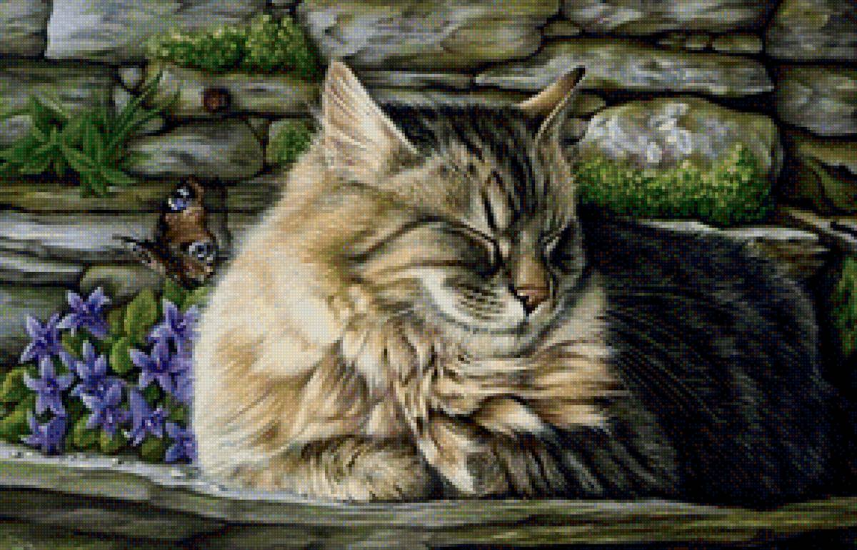 Серый кот - цветы, бабочка, кот, тепло - предпросмотр