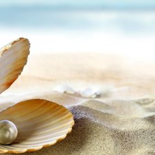 Схема вышивки «Жемчужина»